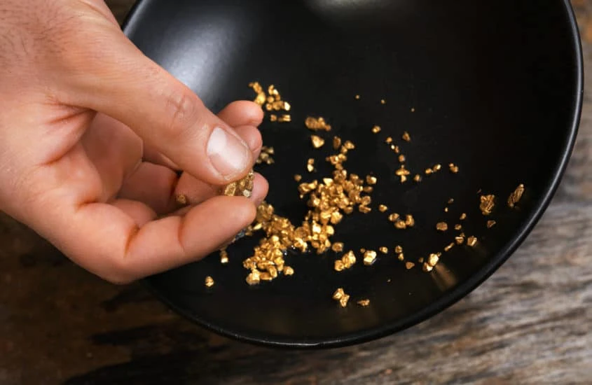 Goldrausch - Nuggets in schwarzer Schale